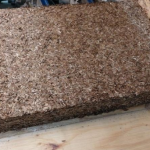 Posidonia core panel